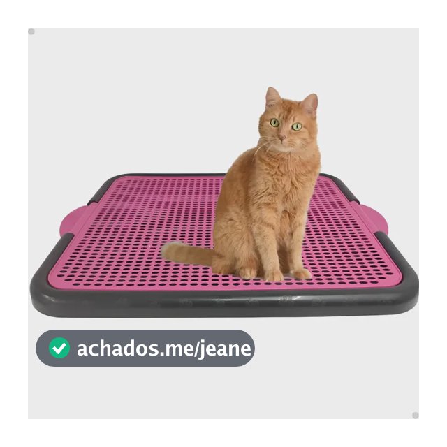Bandeja Coletora De Areia Para Gato Tapete Coletor Gato 55cm