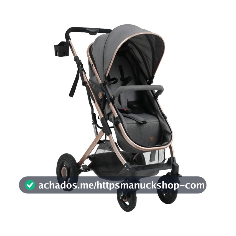 Carrinho Passeio Bebê Moisés Reversível Elysian Cz Maxi Baby