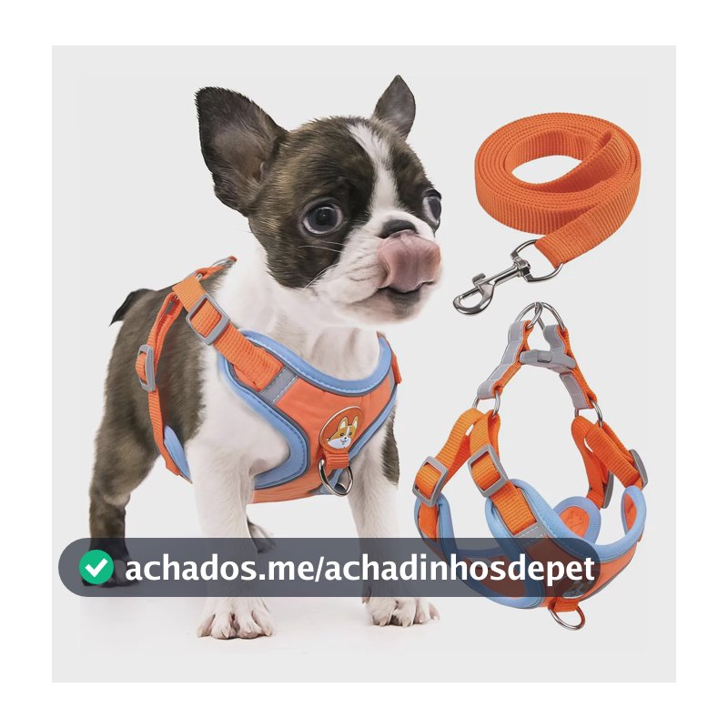 Coleira Peitoral Coleira Com Guia Para Pet Pequenos E Médios Laranja Estrelas P
