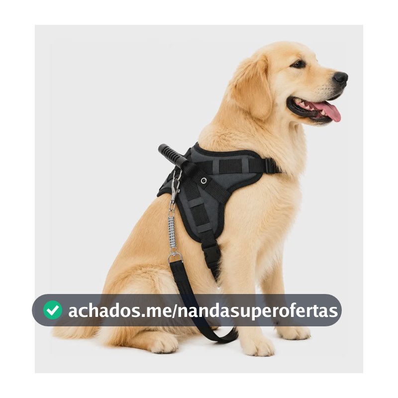 Coleira Peitoral Guia Cachorros Cães Medio E Grande Porte Preto G