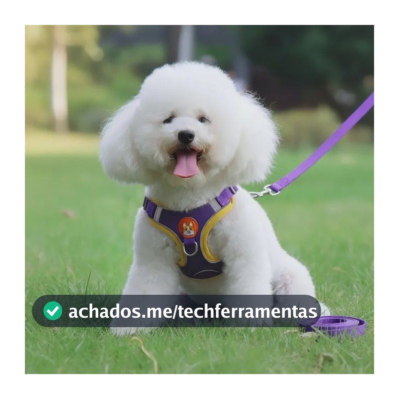 Coleira Peitoral Para Cachorros Gatos Reflexiva Com Guia Violeta-escuro Pet M