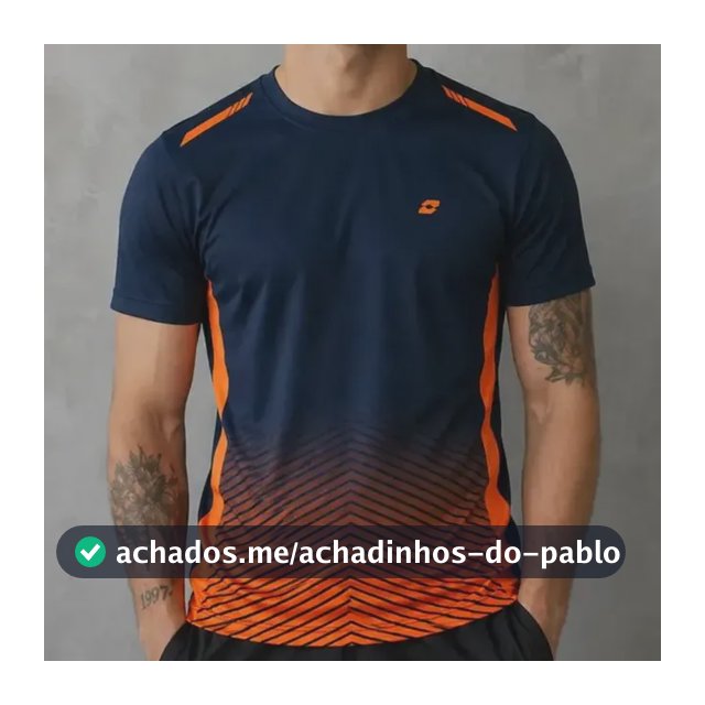 Camiseta Masculina Esportiva Treino Academia Dry Respiravel