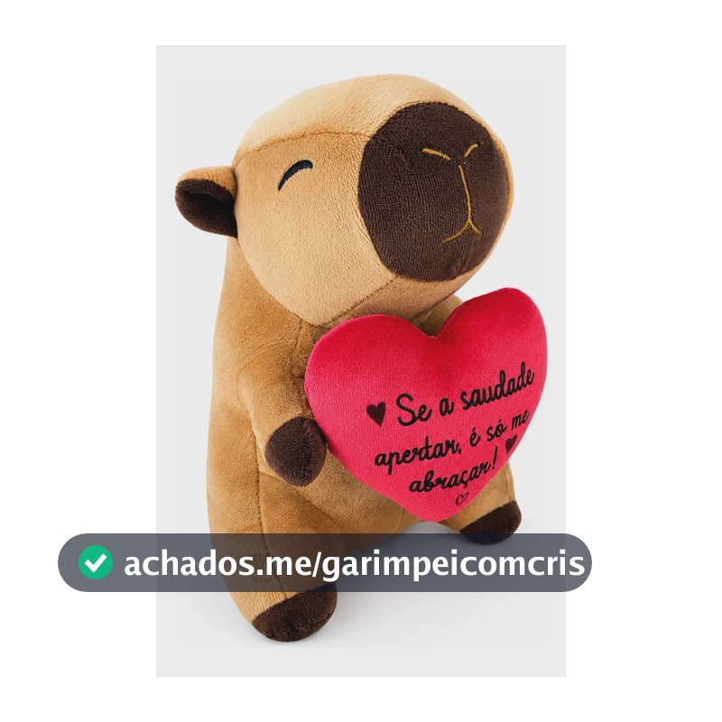 Pelúcia Capivara 20cm Com Coração Presente Marrom