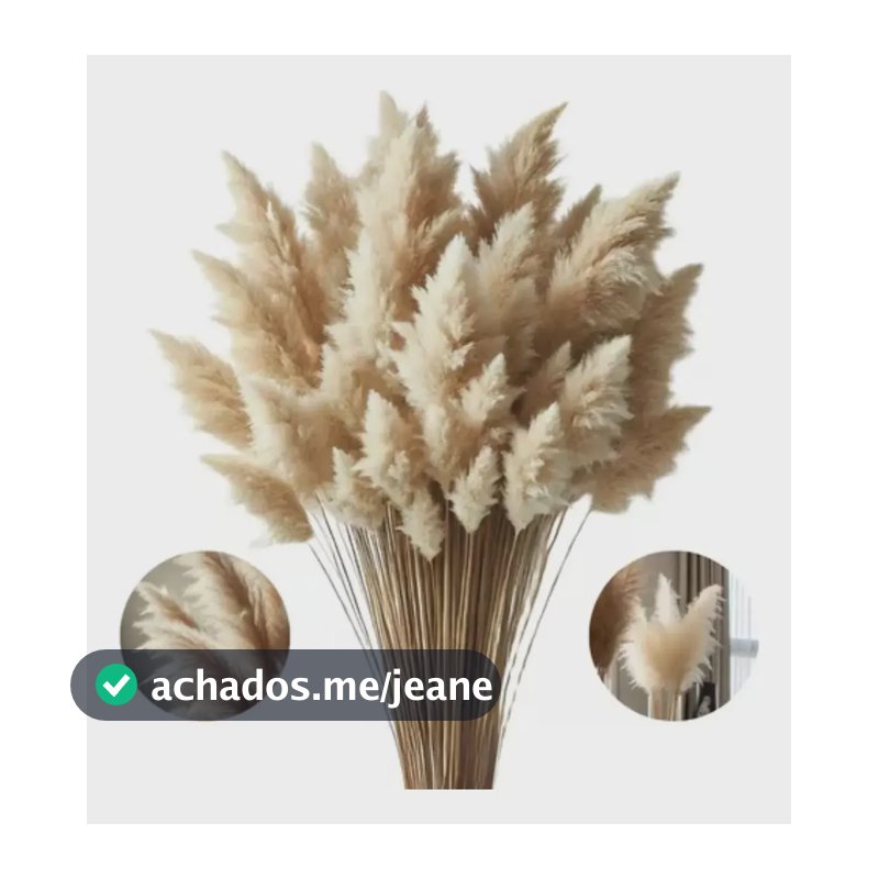 Capim Dos Pampas Decoração Seco Plumas Aritificial 5 Hastes Bege