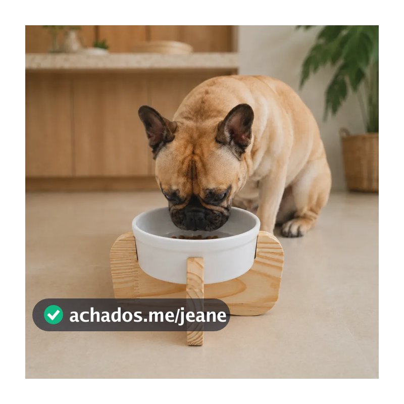 Comedouro Elevado Mádela Para Cachorro E Gato Com Porcelana Porte P E M