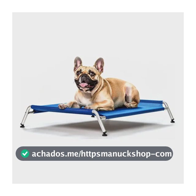 Cama Para Cachorro Médio Suspensa Cama Para Pet Porte Médio Lavável 75x50 Azul Dogets