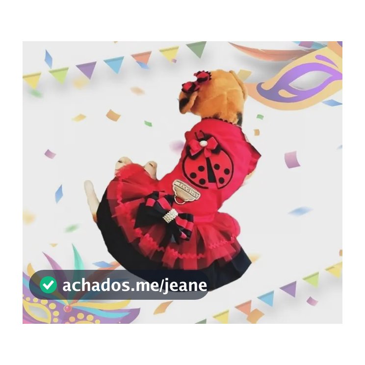 Fantasia Roupa Vestido Pet Carnaval Dudog Fantasia Bailarina Joaninha M
