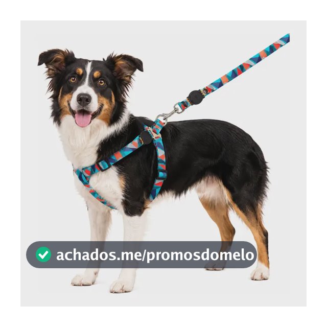 Coleira Peitoral Cachorro Porte Pequeno E Medio