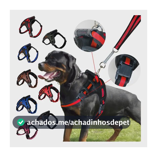 Coleira Para Cachorros Peitoral Com Alça Stillo Pit Bull Pet