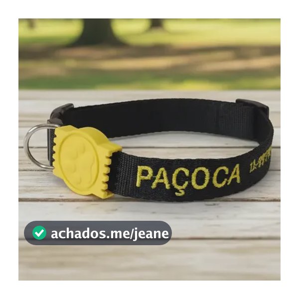 Coleira Para Cachorro Personalizada Nome Telefone Bordados