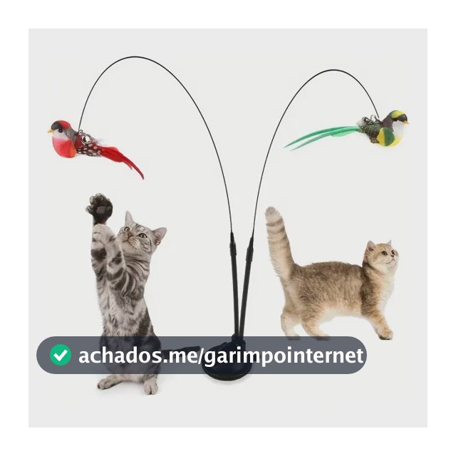 5 Peças De Brinquedo Interativo Para Gatos Com Ventosa E Has