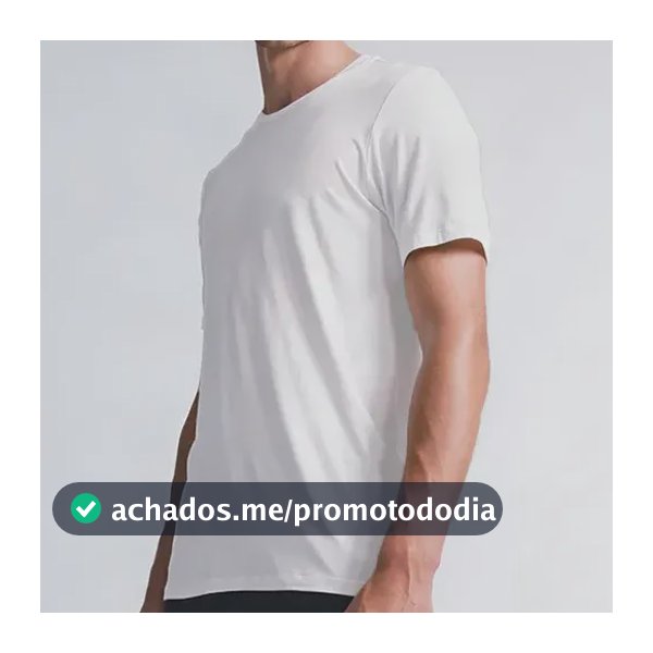 Daily T-shirt Insider