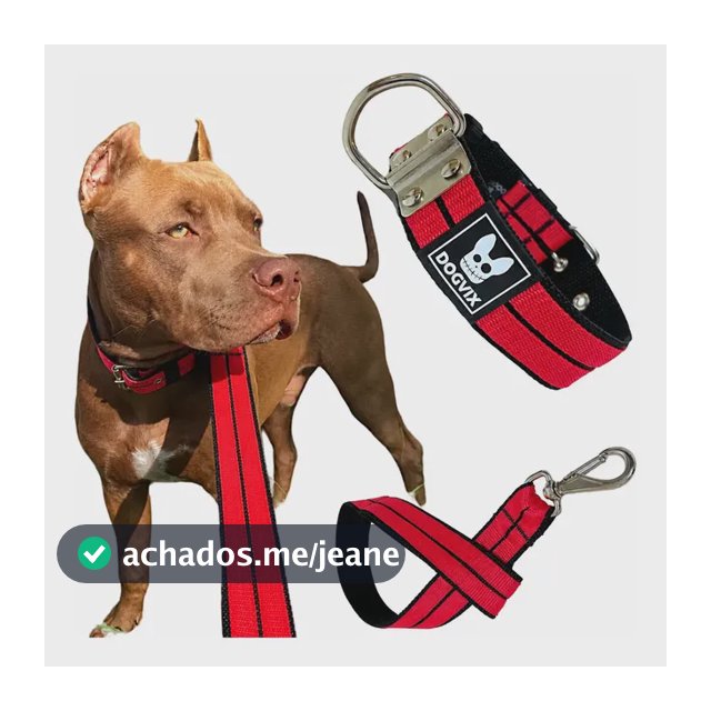 Coleira + Guia Forte Para Cachorros Pitbull Pet Grande Porte