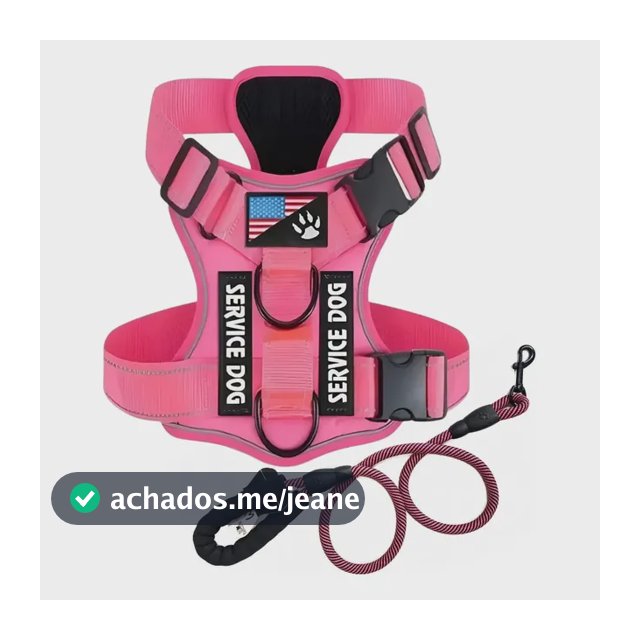 Coleira Peitoral Premium + Guia Reforçada Cão Médio E Grande
