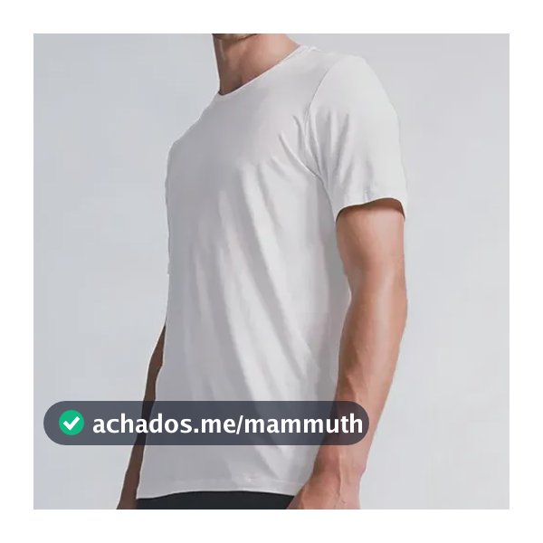 Daily T-shirt Insider