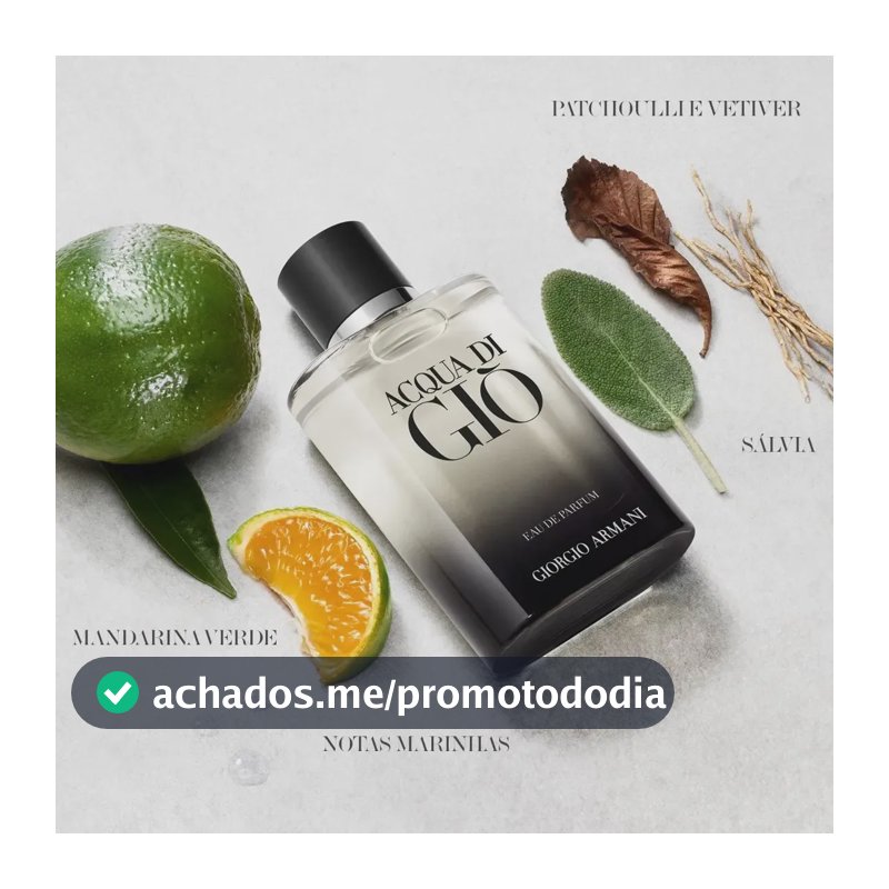 Perfume Masculino Giorgio Armani Acqua di Giò Eau de Parfum Refilável 100ml