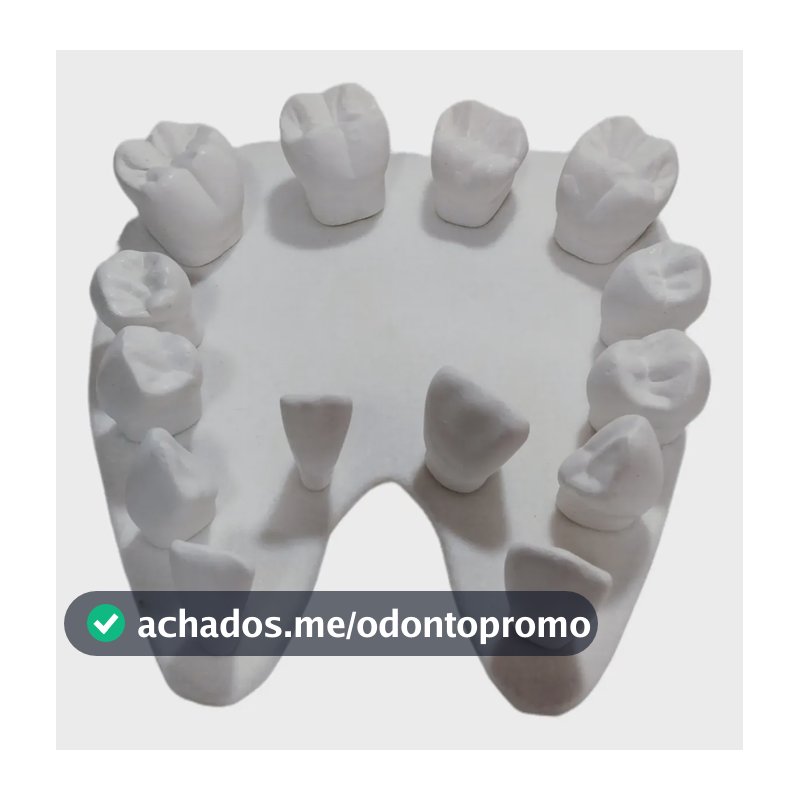 Macro Modelo Dentes De Estudo, 14 Dentes De Gesso Odontológi