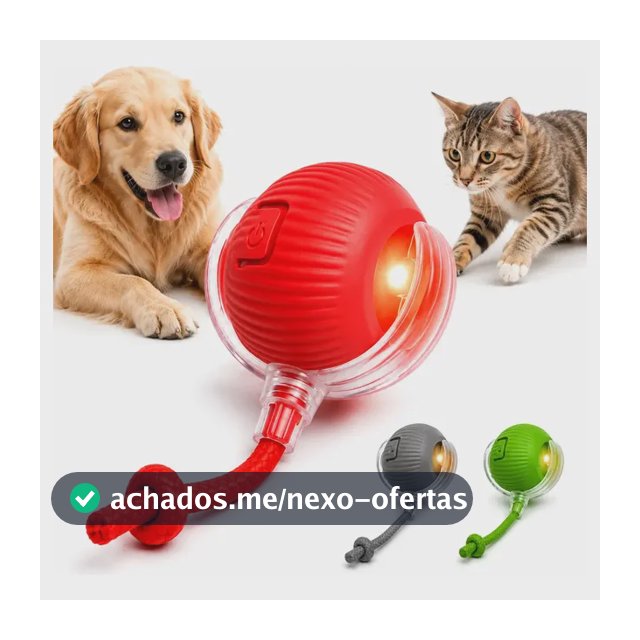 Bola Pet Inteligente Automática Giratória Recarregável Usb Brinquedo Cachorro Cão Gato Cauda Pets - Black Raipe Vermelha