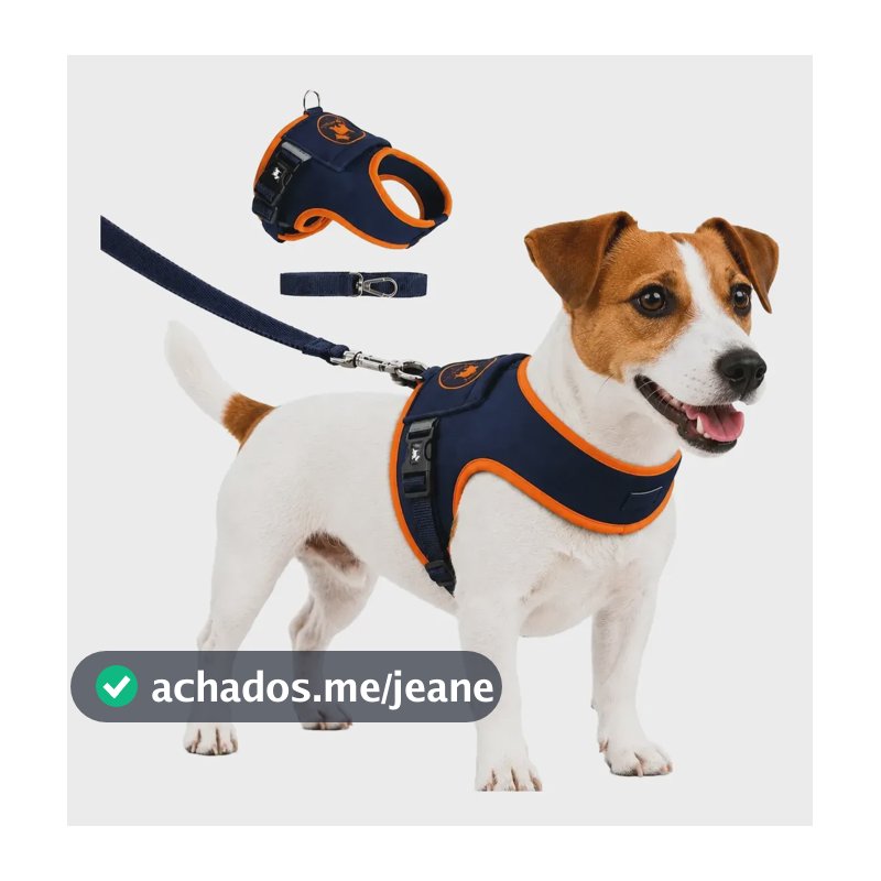 Coleira Peitoral Para Cachorro Gato Com Guia Resistente Marinho Com Laranja 1
