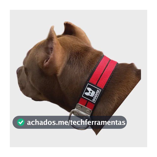 Coleira Dupla Nylon Para Cachorro Colar Pet Pitbull Raça Pet