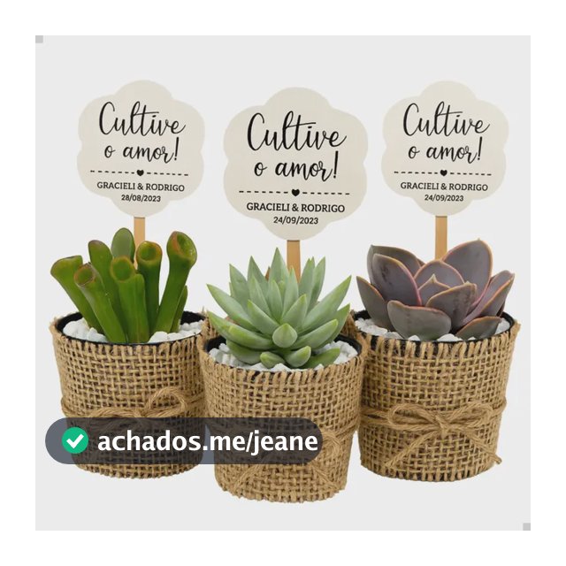 30 Lembrancinhas Casamento Mini Suculentas Personalizadas