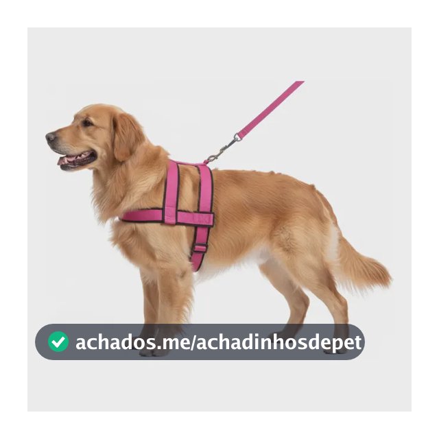 Peitoral Coleira Pra Cachorro Grande E Medio Reforçado Guia  Rosa M