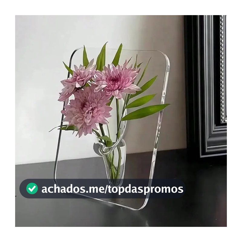 Moldura Acrílica Vaso Claro Moderno Flor Exibição Arte
