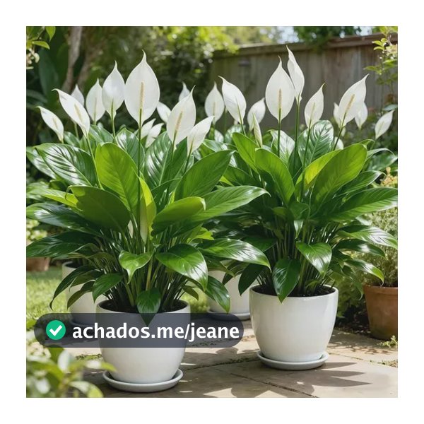 Planta Artificial Em Vaso 47 Cm Multicolored