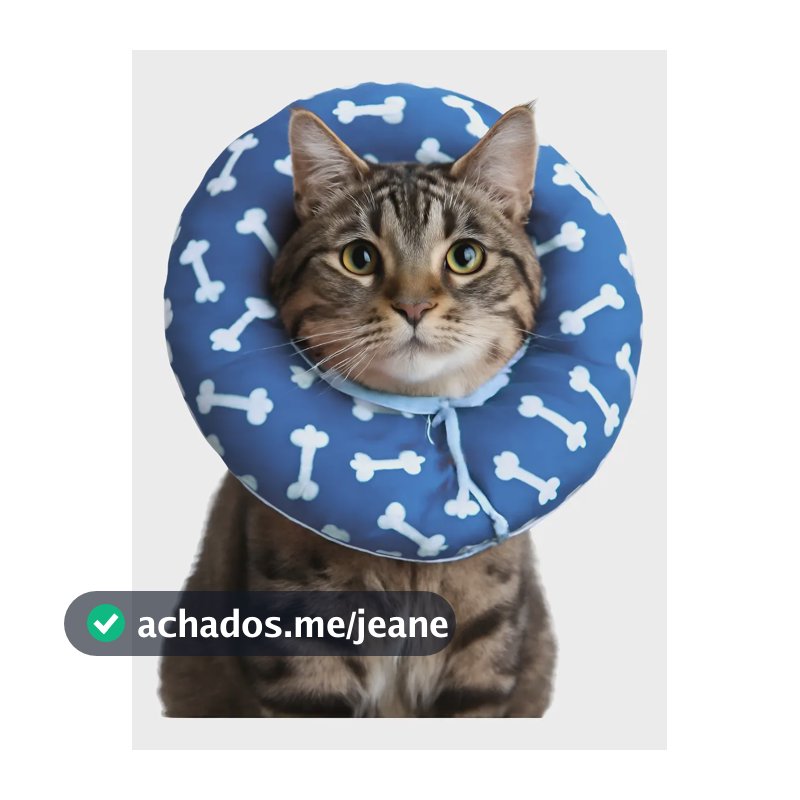 Cone Colar Elizabetano Ajustável Macio Cães E Gatos