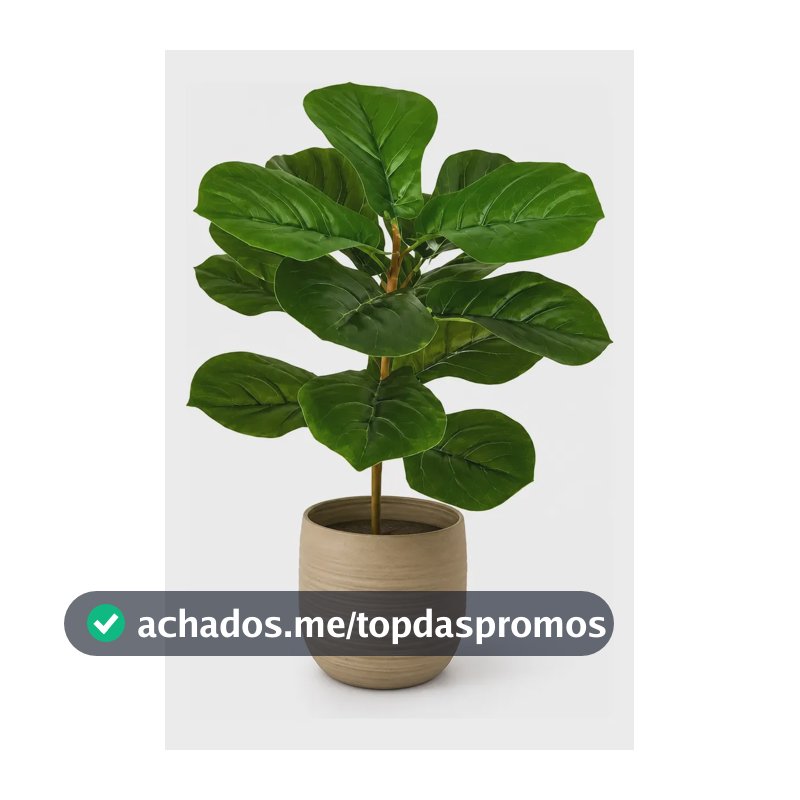 Fícus Lyrata 15 Folhas Folhagem Planta Artificial Com 50cm Ficus 50cm