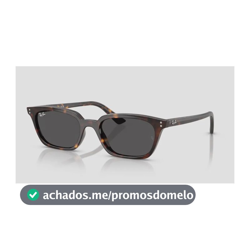 Óculos De Sol Ray-ban Zaya Rb4456 Havana Preto