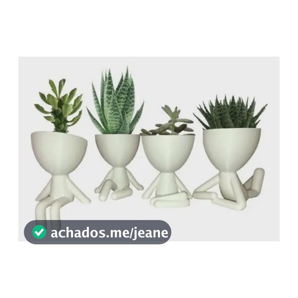 Robert Plant Kit 4 Mini Vasinhos 6cm Cactos Suculentas Decor Cor Branco