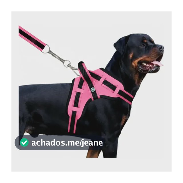 Guia Para Cães Coleira Peitoral Com Alça Reforçado Pit Bull