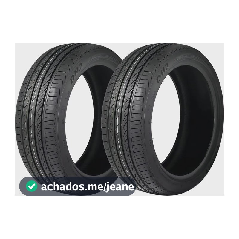 Kit de 2 pneus Delinte DH2 P 205/60R16 92V V