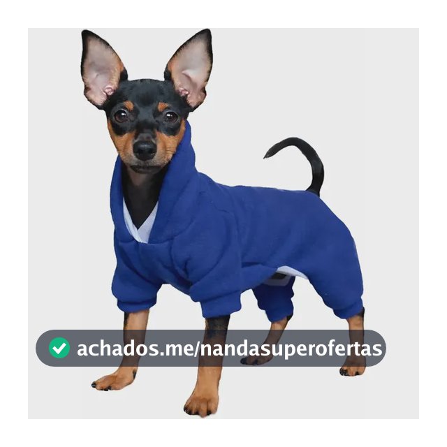 Roupa Com Capuz Pet De Frio Cachorro Porte Pequeno Estampada