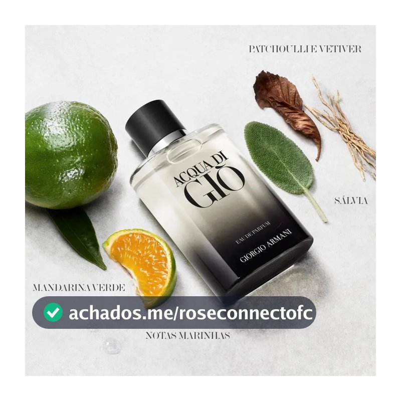 Perfume Masculino Giorgio Armani Acqua di Giò Eau de Parfum Refilável 100ml
