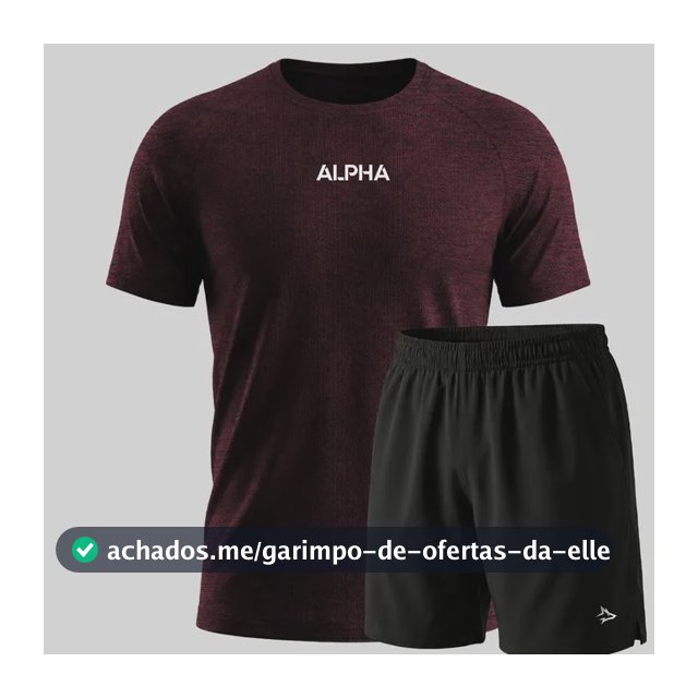 Kit Bermuda Lobo+camiseta Dry Fitness Academia Alpha