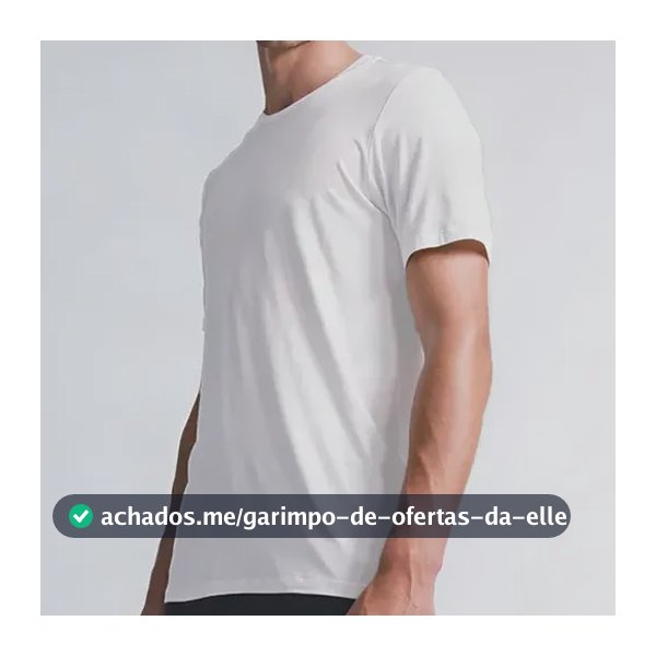 Daily T-shirt Insider