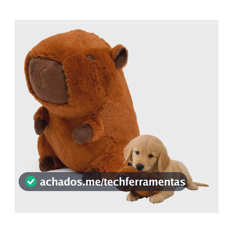 Brinquedo Para Cachorro Pelúcia Capivara Com Apito