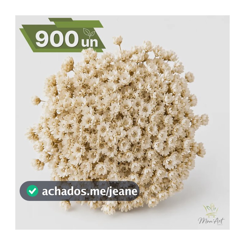 Kit C/900un De Sempre Viva Flor Desidratada Decoração Casamento Cor Branco