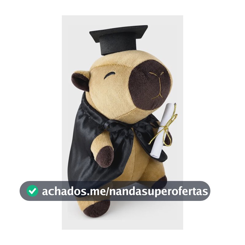 Pelúcia Capivara Formatura 20cm Presente Formando Marrom Urso Presente