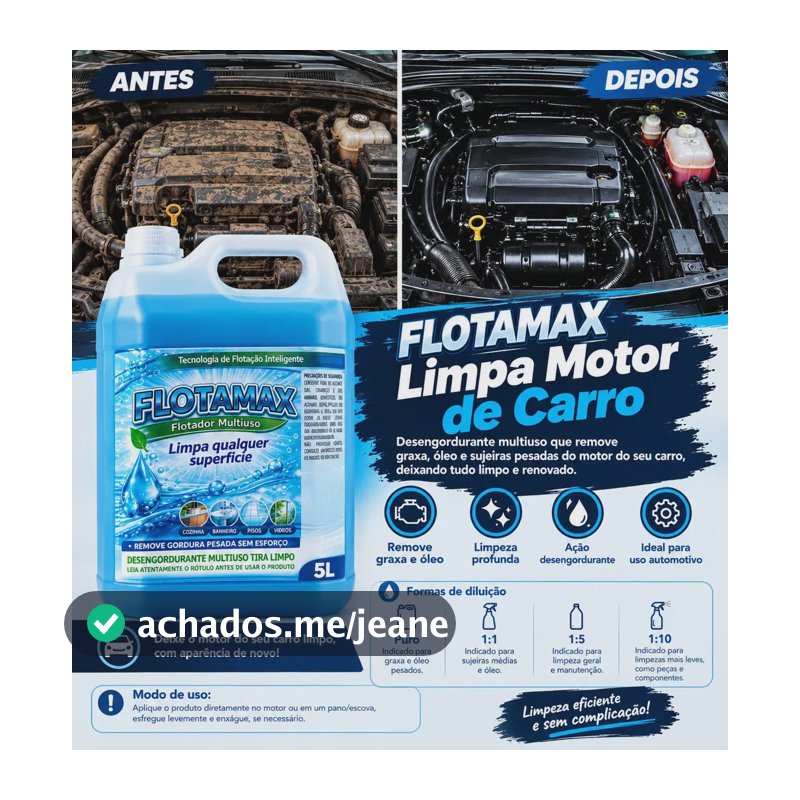 Limpa Motor Flotamax Flotador Multiuso Desengraxante Concent