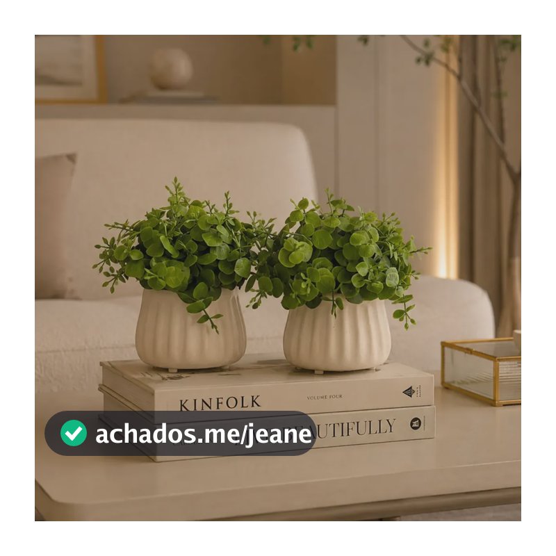 Dupla De Mini Arranjos Eucalipto Verde Com Vaso London