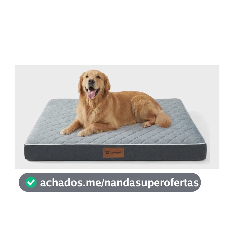 Cama Caminha Cachorros Pet Grande Ortopédica Espuma Viscoelástica Premium C/capa Lavável 90×67×9