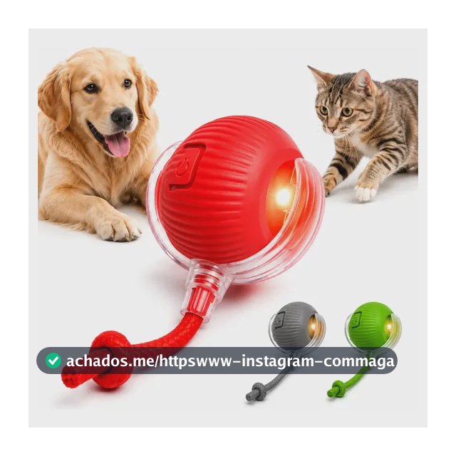 Bola Pet Inteligente Automática Giratória Recarregável Usb Brinquedo Cachorro Cão Gato Cauda Pets - Black Raipe Vermelha