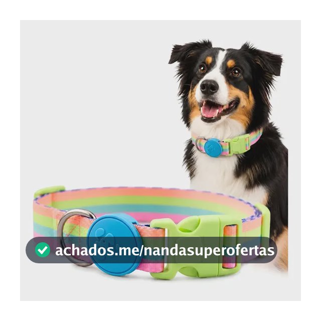 Coleira Caes Ajustavel Fecho Seguro  Acessório Pet Meuauau