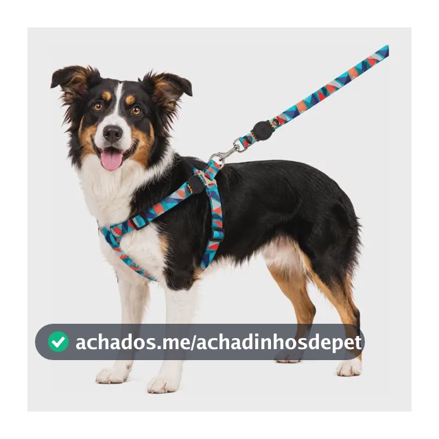 Coleira Peitoral Cachorro Porte Pequeno E Medio