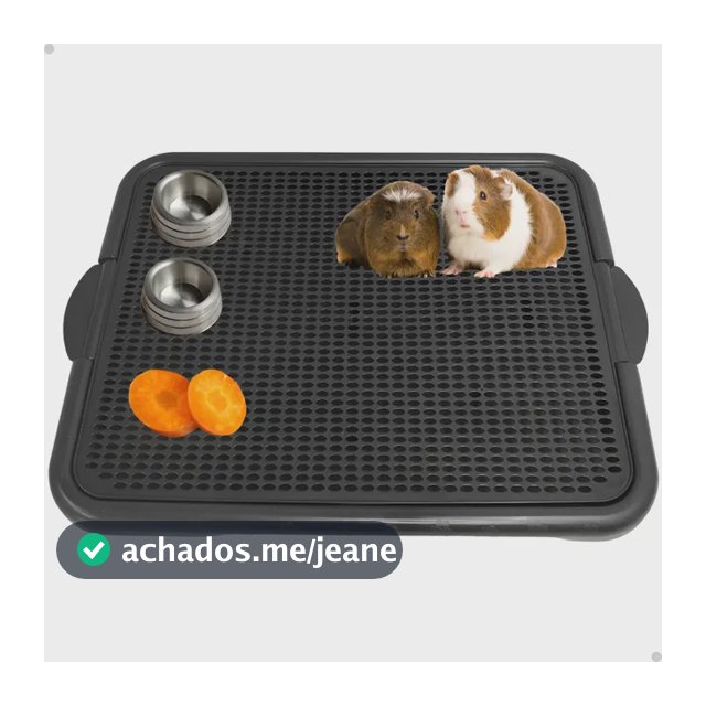 Tapete Higiênico Para Porquinho Da Índia Xixi Coelhos 55x42