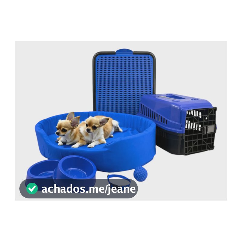 Kit Pet Pequeno Cama Europa Sanitário Transporte Acessórios Cor Azul Desenho Liso