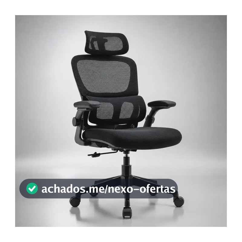 Cadeira Lombar Ergonômica Escritório Apoio Mesh Suporte Cor Preto Malha Nylon Pu
